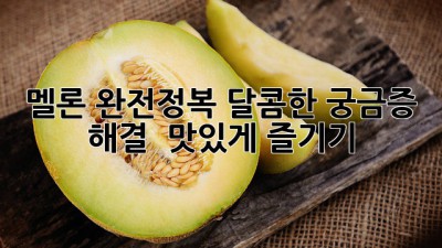 🍈 멜론 완전정복! 달콤한 궁금증 해결 & 맛있게 즐기기 😋