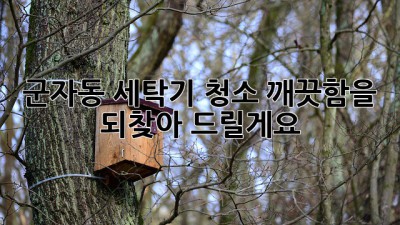 군자동 세탁기 청소, 깨끗함을 되찾아 드릴게요!